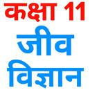 Class 11 Biology (in Hindi) APK