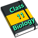 Biology notes for class 11 APK