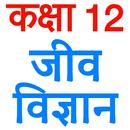 Class 12 Biology (in Hindi) APK