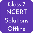Class 7 NCERT Solutions icono