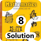 Class 8 Maths NCERT Solution ícone