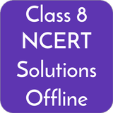 Class 8 Solutions icône