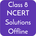 Class 8 Solutions icône