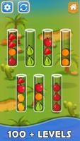 Fruit Sort Game Puzzle Fun poster