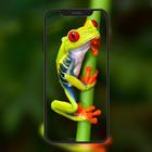 Frog Simple Wallpapers أيقونة