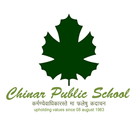 Chinar icono
