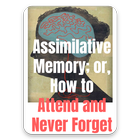 Assimilative Memory icône
