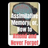 Assimilative Memory Affiche