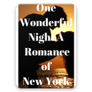 One Wonderful Night A Romance of New York APK