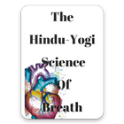 The Hindu Yogi icono