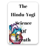 The Hindu Yogi icon