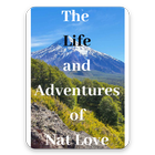 The Life And Adventures free eBooks simgesi