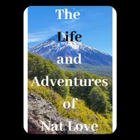 The Life And Adventures โปสเตอร์