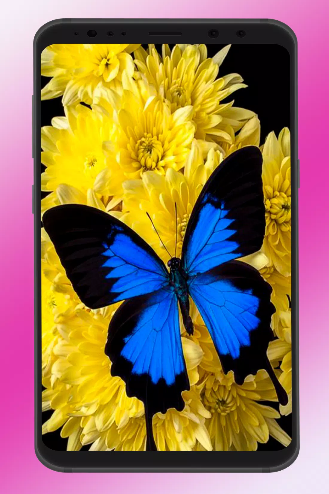 Descarga de APK de Fondos De Pantalla Mariposas 3d para Android Descarga de APK de Fondos De Pantalla Mariposas 3d para Android
