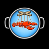 ClawControl - OpenClaw Client APK