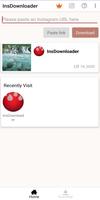 InsDownloader captura de pantalla 3