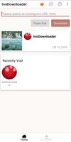 InsDownloader capture d'écran 3