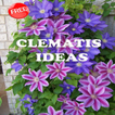 Ideias Clematis