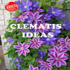 Ideias Clematis ícone