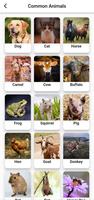 Animal Sounds ภาพหน้าจอ 3