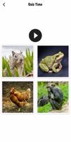 Animal Sounds ภาพหน้าจอ 1