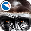 Animals of planet Earth aplikacja