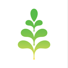 SustainableBU أيقونة