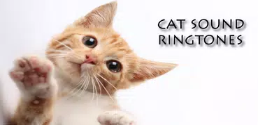 звуки кошки и рингтоны