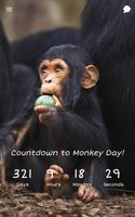 Countdown to Monkey Day Plakat