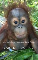 Countdown to Monkey Day 截圖 2