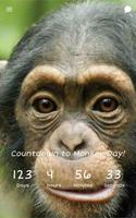 Countdown to Monkey Day screenshot 3