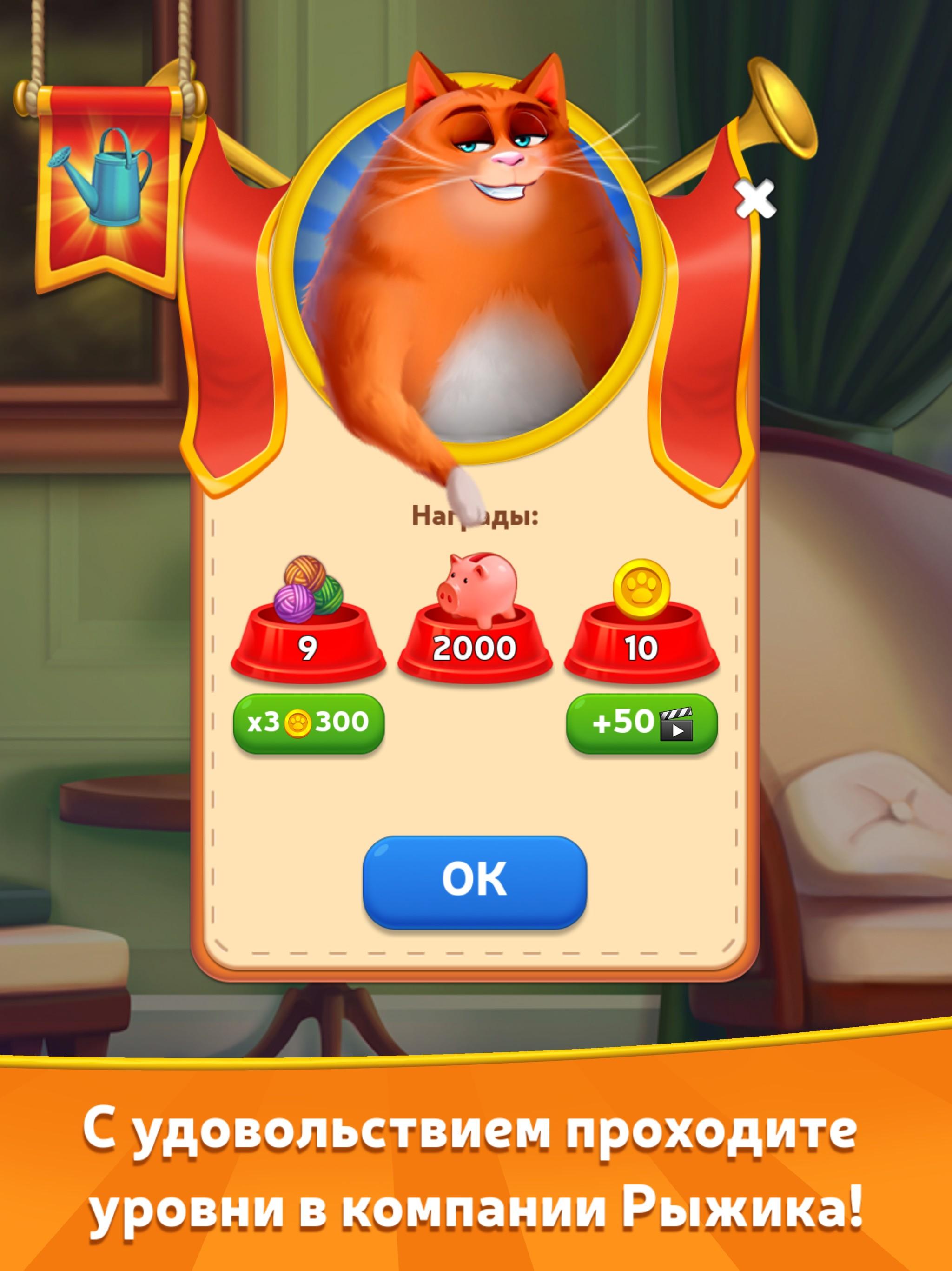 общий шкаф в игре котовасия