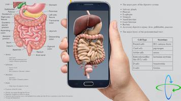 Human anatomy 3D : Organs and  imagem de tela 3