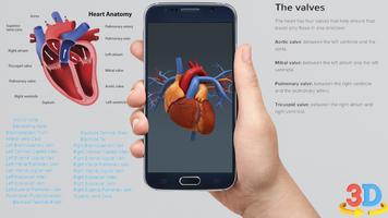 برنامه‌نما Human anatomy 3D : Organs and  عکس از صفحه