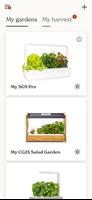 Click & Grow Cartaz