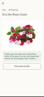 Click & Grow imagem de tela 1