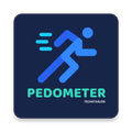 Pedometer