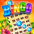 Bingo Story