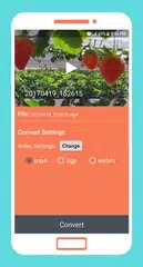 To mp4 3gp webm Video Converte XAPK download