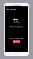 Smart Video Crop پوسٹر