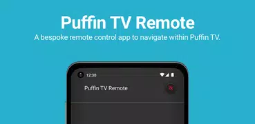 Puffin TV Remote