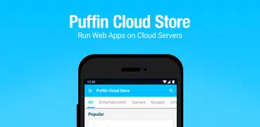 Puffin Cloud Store