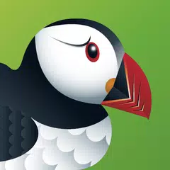 Puffin Web Browser APK download