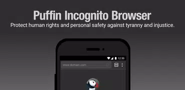 Puffin Incognito Browser