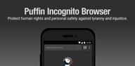 Puffin Incognito Browser'i telefonuma nasıl indirebilirim?