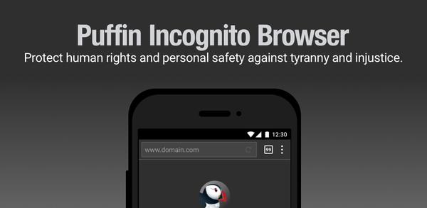 Puffin Incognito Browser'i telefonuma nasıl indirebilirim? image