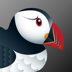 Puffin Incognito Browser icône