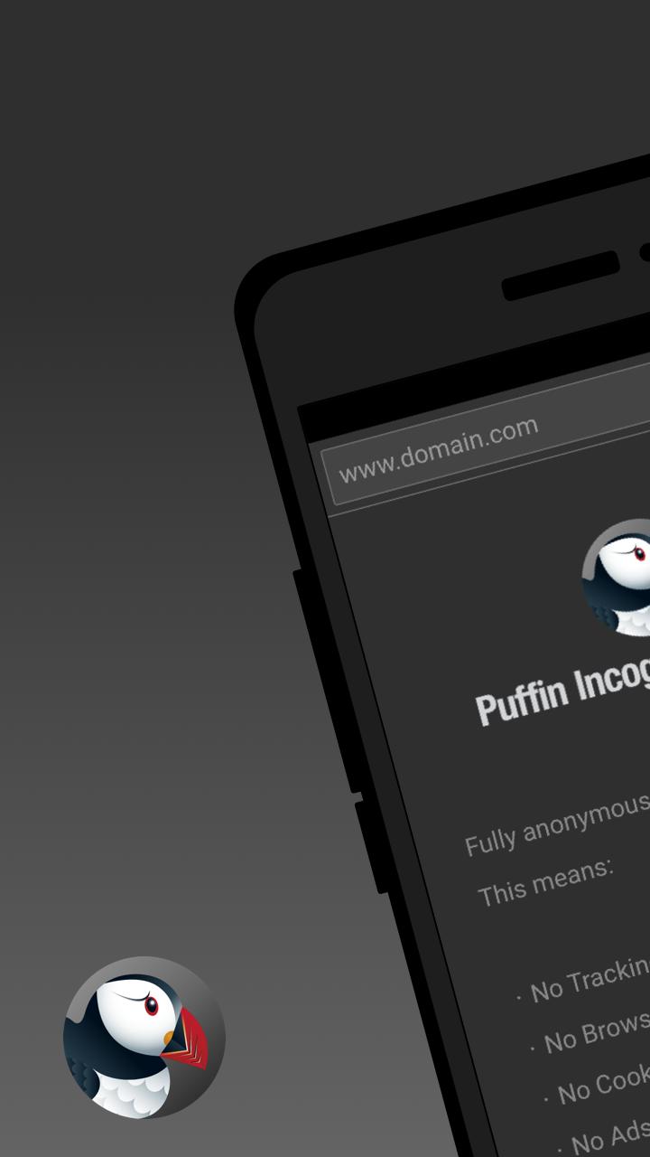 Puffin Incognito Browser Apk For Android Download