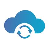 Cloud Storage: Restore, Backup
