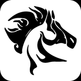 Stallion OVPN icône